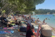 Strašno – Turisti u panici: Šta je ovo isplivalo iz mora (FOTO) Strašno – Turisti u panici: Šta je ovo isplivalo iz mora (FOTO)