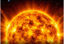 Sunce ulazi u znak Lava: Astrolozi izdvajaju 5 znakova kojima bi ovaj period mogao donijeti najviše prilika Sunce ulazi u znak Lava: Astrolozi izdvajaju 5 znakova kojima bi ovaj period mogao donijeti najviše prilika