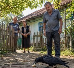 Tri dana zaredom jedna je vrana dolazila u isto dvorište i neprestano graktala pokraj starog poklopca kanalizacijskog šahta. Kad su ljudi napokon shvatili što im pokušava reći, ostali su bez riječi… Tri dana zaredom jedna je vrana dolazila u isto dvorište i neprestano graktala pokraj starog poklopca kanalizacijskog šahta. Kad su ljudi napokon shvatili što im pokušava reći, ostali su bez riječi…