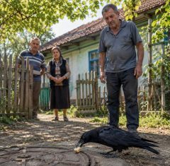 Tri dana zaredom jedna je vrana dolazila u isto dvorište i neprestano graktala pokraj starog poklopca kanalizacijskog šahta. Kad su ljudi napokon shvatili što im pokušava reći, ostali su bez riječi… Tri dana zaredom jedna je vrana dolazila u isto dvorište i neprestano graktala pokraj starog poklopca kanalizacijskog šahta. Kad su ljudi napokon shvatili što im pokušava reći, ostali su bez riječi…