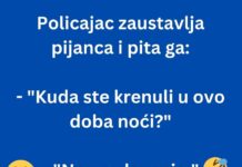 VIC DANA: Policajac i pijanac VIC DANA: Policajac i pijanac