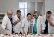 Žena je rodila 11 beba odjednom. Ali kada su ih lekari pažljivije pogledali, UKOČILI SU SE: Ono što su gledali uopšte nisu bile bebe… Žena je rodila 11 beba odjednom. Ali kada su ih lekari pažljivije pogledali, UKOČILI SU SE: Ono što su gledali uopšte nisu bile bebe…