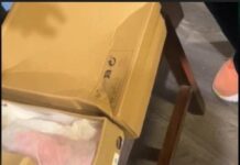 Žena naručila papuče preko Temu-a, kada su joj stigle, umelo nije doživela šlog! Prevrnula se na glavu kada je… Žena naručila papuče preko Temu-a, kada su joj stigle, umelo nije doživela šlog! Prevrnula se na glavu kada je…