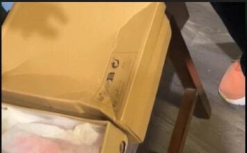 Žena naručila papuče preko Temu-a, kada su joj stigle, umelo nije doživela šlog! Prevrnula se na glavu kada je… Žena naručila papuče preko Temu-a, kada su joj stigle, umelo nije doživela šlog! Prevrnula se na glavu kada je…