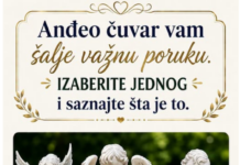 Anđeo čuvar vam šalje važnu poruku. Izaberite jednog i saznajte šta je to Anđeo čuvar vam šalje važnu poruku. Izaberite jednog i saznajte šta je to