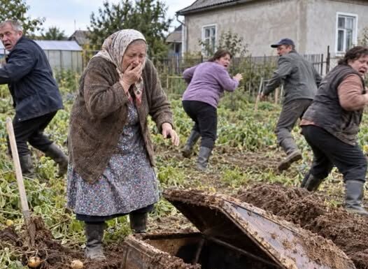 Baka je kopala krompir i iskopala kovčeg: Ovo su našli u kovčegu! 😨