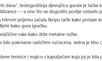 Djevojka koja je odvela blizance u bolnicu skrivala je ključ oko vrata Djevojka koja je odvela blizance u bolnicu skrivala je ključ oko vrata