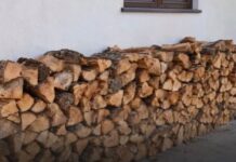Držite drva uz zid kuće? Evo koji vam se problem može pojaviti Držite drva uz zid kuće? Evo koji vam se problem može pojaviti