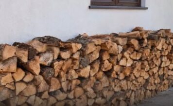 Držite drva uz zid kuće? Evo koji vam se problem može pojaviti Držite drva uz zid kuće? Evo koji vam se problem može pojaviti