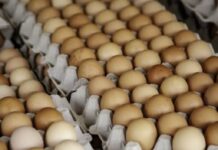 Evo zašto leti treba da okrenete jaja naopako u frižideru! Svaka iskusna domaćica ovo zna, to menja sve Evo zašto leti treba da okrenete jaja naopako u frižideru! Svaka iskusna domaćica ovo zna, to menja sve