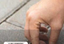 Novčić na putu nije običan znak – uradite OVO i sreća će vas pratiti na svakom koraku Novčić na putu nije običan znak – uradite OVO i sreća će vas pratiti na svakom koraku