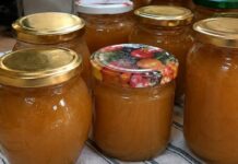 Od 6 kg zrelih krušaka napravila sam 10 tegli – toliko je dobar da pravim još jednu turu! Od 6 kg zrelih krušaka napravila sam 10 tegli – toliko je dobar da pravim još jednu turu!