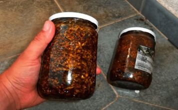 OTČEPITE KRVNE SUDOVE BEZ TABLETA: Pritisak će vam biti 120 sa 80, ako koristite ovu prirodnu infuziju… OTČEPITE KRVNE SUDOVE BEZ TABLETA: Pritisak će vam biti 120 sa 80, ako koristite ovu prirodnu infuziju…