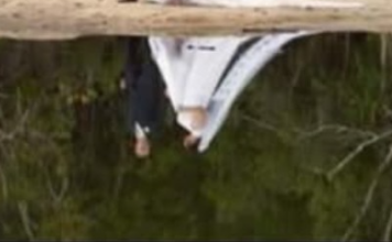 OVA SLIKA JE MLADENCE MOGLA KOŠTATI ŽIVOTA: Vidite li BIZARAN DETALJ, nisu ni slutili šta se dešava OVA SLIKA JE MLADENCE MOGLA KOŠTATI ŽIVOTA: Vidite li BIZARAN DETALJ, nisu ni slutili šta se dešava