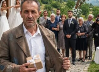 Ponos ju je koštao svega: Izbacila je brata sa venčanja, a onda saznala bolnu istinu o njegovom kaputu Ponos ju je koštao svega: Izbacila je brata sa venčanja, a onda saznala bolnu istinu o njegovom kaputu