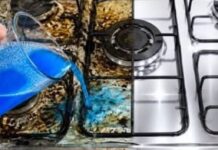 Prelagano! Kako očistiti štednjak i učiniti da zablista kao nov (bez otrovnih sredstava) Prelagano! Kako očistiti štednjak i učiniti da zablista kao nov (bez otrovnih sredstava)