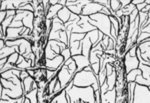 Prva životinja koju vidite na ilustraciji otkriće vam apsolutno sve o vašoj ličnosti i to bez greške Prva životinja koju vidite na ilustraciji otkriće vam apsolutno sve o vašoj ličnosti i to bez greške