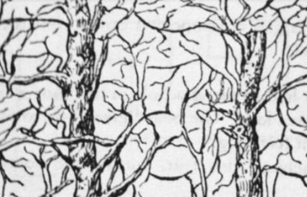 Prva životinja koju vidite na ilustraciji otkriće vam apsolutno sve o vašoj ličnosti i to bez greške Prva životinja koju vidite na ilustraciji otkriće vam apsolutno sve o vašoj ličnosti i to bez greške