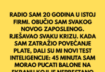RADIO SAM 20 GODINA U ISTOJ FIRMI. OBUČIO SAM SVAKOG NOVOG ZAPOSLENOG. RJEŠAVAO SVAKU KRIZU. RADIO SAM 20 GODINA U ISTOJ FIRMI. OBUČIO SAM SVAKOG NOVOG ZAPOSLENOG. RJEŠAVAO SVAKU KRIZU.