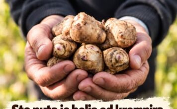Sto puta je bolja od krompira, svi je obilaze na pijaci: Zemljana kruška je blagotvorna za zdravlje Sto puta je bolja od krompira, svi je obilaze na pijaci: Zemljana kruška je blagotvorna za zdravlje