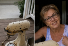 Susjeda me nagovorila da joj posudim mikser moje pokojne majke – onda ga je razbila, ostavila prljavog na mom trijemu i nekako me natjerala da se zapitam je li to bilo namjerno Susjeda me nagovorila da joj posudim mikser moje pokojne majke – onda ga je razbila, ostavila prljavog na mom trijemu i nekako me natjerala da se zapitam je li to bilo namjerno