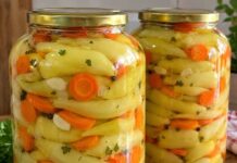 Tajna savršene somborke za zimu: Recept bez konzervansa i vinobrana koji svi traže! Tajna savršene somborke za zimu: Recept bez konzervansa i vinobrana koji svi traže!