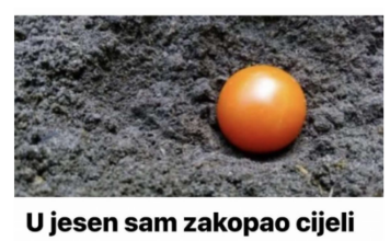 U jesen sam zakopao cijeli paradajz u bašti: OVO JE IZRASLO IZ NJEGA USRED LJETA! U jesen sam zakopao cijeli paradajz u bašti: OVO JE IZRASLO IZ NJEGA USRED LJETA!