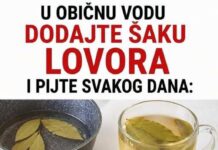 U OBIČNU VODU DODAJTE ŠAKU JEFTINE BILJKE I PIJTE SVAKOG DANA: Krcata vitaminima, jača imunitet i TOPI SALO kao od šale! U OBIČNU VODU DODAJTE ŠAKU JEFTINE BILJKE I PIJTE SVAKOG DANA: Krcata vitaminima, jača imunitet i TOPI SALO kao od šale!