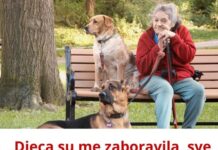 Ušteđevinu ostavljam psima, deca su me za srce ujela: Život sam im dala, sad kad su stabilni, odbacili su me kao otirač Ušteđevinu ostavljam psima, deca su me za srce ujela: Život sam im dala, sad kad su stabilni, odbacili su me kao otirač
