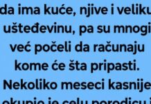 VRATIO SE IZ AUSTRIJE POSLE 30 GODINA, SVI SU ČEKALI DA ČUJU KOME ĆE OSTAVITI BOGATSTVO… A ONDA JE SAOPŠTIO ODLUKU KOJU NIKO NIJE OČEKIVAO! VRATIO SE IZ AUSTRIJE POSLE 30 GODINA, SVI SU ČEKALI DA ČUJU KOME ĆE OSTAVITI BOGATSTVO… A ONDA JE SAOPŠTIO ODLUKU KOJU NIKO NIJE OČEKIVAO!
