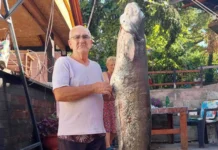 Zijo ponovo u akciji: Na Modračkom jezeru ulovio kapitalca od 53 kilograma Zijo ponovo u akciji: Na Modračkom jezeru ulovio kapitalca od 53 kilograma