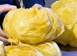 Kako da vam kiseli kupus bude žut kao dukat: Tajna je u 1 nevjerovatnom sastojku Kako da vam kiseli kupus bude žut kao dukat: Tajna je u 1 nevjerovatnom sastojku