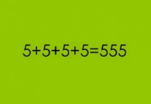 MATEMATIČKI ZADATAK KOJU JE ZBUNIO CELU SRBIJU: “Kupio sam KRAVU za 800 evra…” Da li vi možete da rešite? (FOTO) MATEMATIČKI ZADATAK KOJU JE ZBUNIO CELU SRBIJU: “Kupio sam KRAVU za 800 evra…” Da li vi možete da rešite? (FOTO)