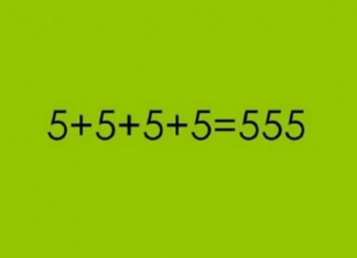 MATEMATIČKI ZADATAK KOJU JE ZBUNIO CELU SRBIJU: “Kupio sam KRAVU za 800 evra…” Da li vi možete da rešite? (FOTO) MATEMATIČKI ZADATAK KOJU JE ZBUNIO CELU SRBIJU: “Kupio sam KRAVU za 800 evra…” Da li vi možete da rešite? (FOTO)