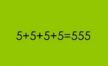 MATEMATIČKI ZADATAK KOJU JE ZBUNIO CELU SRBIJU: “Kupio sam KRAVU za 800 evra…” Da li vi možete da rešite? (FOTO) MATEMATIČKI ZADATAK KOJU JE ZBUNIO CELU SRBIJU: “Kupio sam KRAVU za 800 evra…” Da li vi možete da rešite? (FOTO)