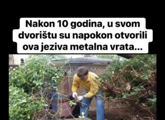 Nakon 10 godina, u svom dvorištu su napokon otvorili ova jeziva metalna vrata… Nakon 10 godina, u svom dvorištu su napokon otvorili ova jeziva metalna vrata…