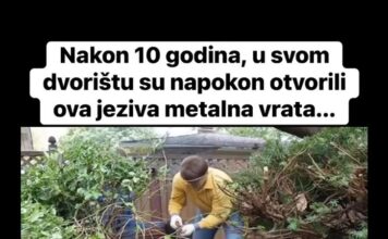 Nakon 10 godina, u svom dvorištu su napokon otvorili ova jeziva metalna vrata… Nakon 10 godina, u svom dvorištu su napokon otvorili ova jeziva metalna vrata…