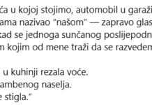 Svekrva je tražila da se odreknem svega, ali nije znala čija je kuća! Svekrva je tražila da se odreknem svega, ali nije znala čija je kuća!