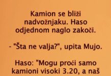 VIC DANA: Kamiondžije VIC DANA: Kamiondžije