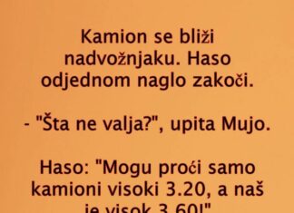 VIC DANA: Kamiondžije VIC DANA: Kamiondžije
