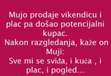 VIC DANA: PRODAJA VIKENDICE VIC DANA: PRODAJA VIKENDICE