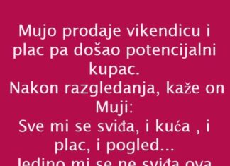 VIC DANA: PRODAJA VIKENDICE VIC DANA: PRODAJA VIKENDICE