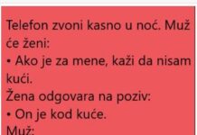 VIC DANA: ŽENA I POZIV VIC DANA: ŽENA I POZIV