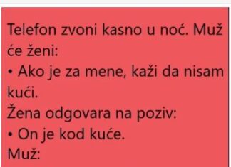 VIC DANA: ŽENA I POZIV VIC DANA: ŽENA I POZIV