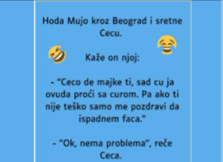 VIC: Mujo sretne Cecu VIC: Mujo sretne Cecu