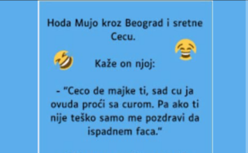 VIC: Mujo sretne Cecu VIC: Mujo sretne Cecu