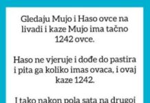 VIC OD KOJEG ĆETE PLAKATI OD SMIJEHA: Gledaju Mujo i Haso ovce… VIC OD KOJEG ĆETE PLAKATI OD SMIJEHA: Gledaju Mujo i Haso ovce…