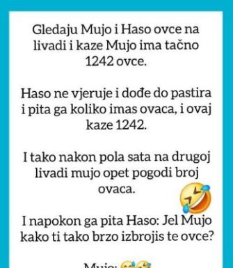 VIC OD KOJEG ĆETE PLAKATI OD SMIJEHA: Gledaju Mujo i Haso ovce… VIC OD KOJEG ĆETE PLAKATI OD SMIJEHA: Gledaju Mujo i Haso ovce…
