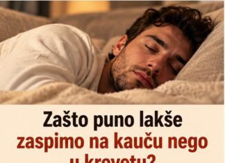 Zašto puno lakše zaspimo na kauču nego u krevetu? Zašto puno lakše zaspimo na kauču nego u krevetu?