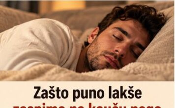 Zašto puno lakše zaspimo na kauču nego u krevetu? Zašto puno lakše zaspimo na kauču nego u krevetu?